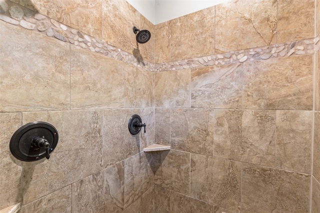 interior details featuring a tile shower