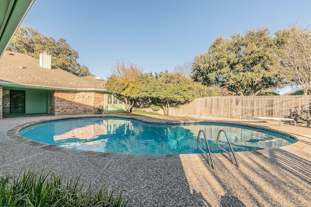 view of pool featuring a patio and a diving board