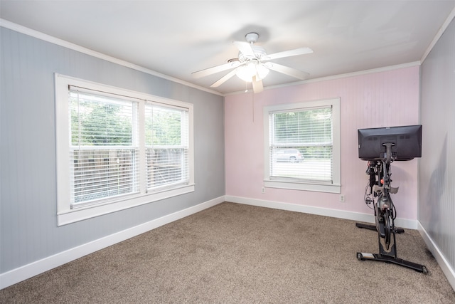 exercise room featuring ceiling fan, ornamental molding, and carpet