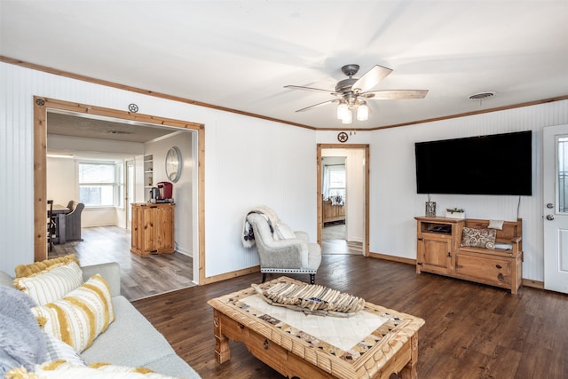 living room featuring ceiling fan, ornamental molding, and dark wood-type flooring