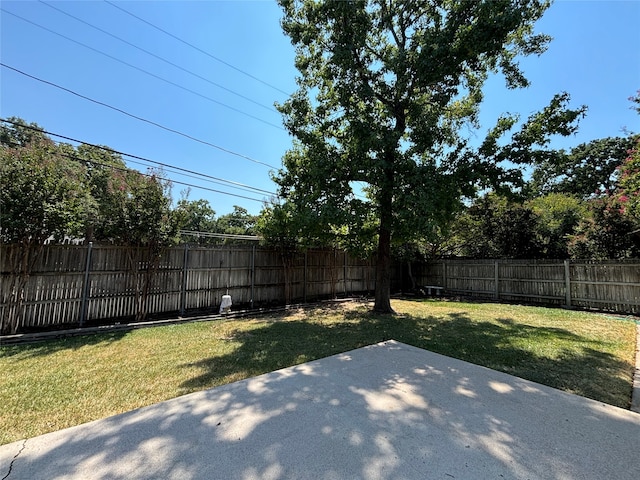 view of yard with a patio