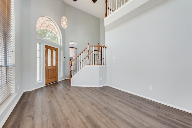 entrance foyer featuring hardwood / wood-style flooring and a high ceiling