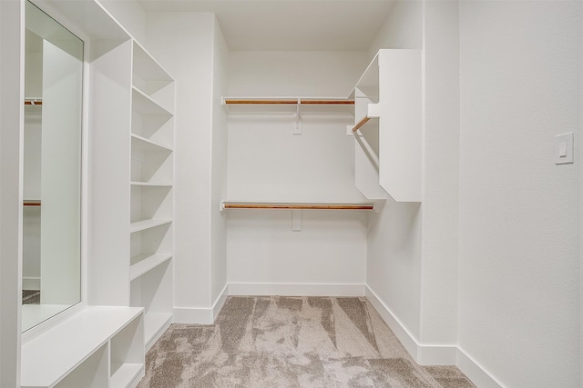 spacious closet with light carpet