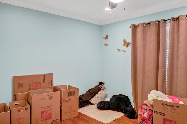 13823 Llano Dr, Weatherford, TX 76087 - misc room featuring wood finished floors, crown molding, and ceiling fan