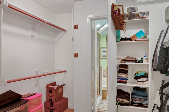 view of walk in closet