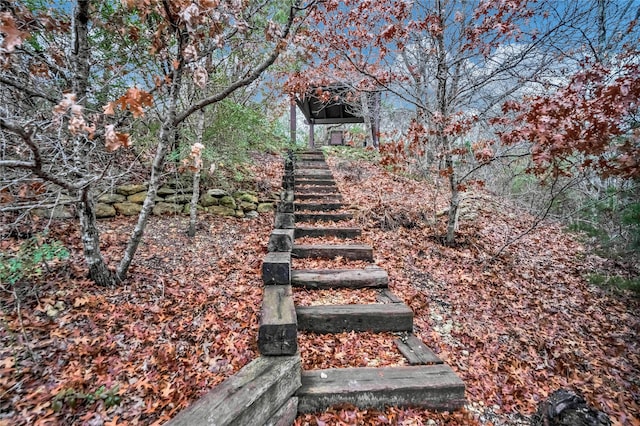 13823 Llano Dr, Weatherford, TX 76087 - view of yard featuring stairway