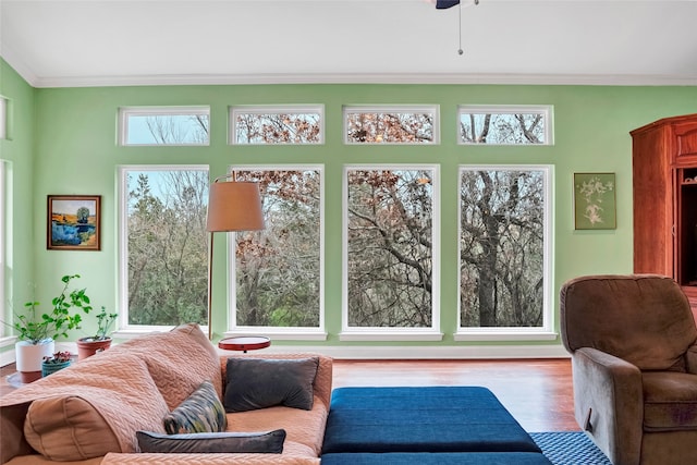 interior space featuring crown molding, light hardwood / wood-style floors, and ceiling fan