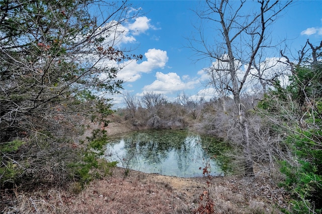 13823 Llano Dr, Weatherford, TX 76087 - water view