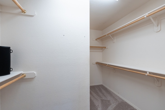 spacious closet featuring carpet flooring