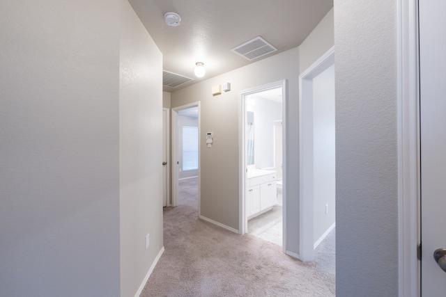 corridor with light colored carpet