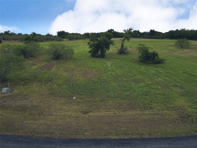 Listing photo 3 for LOT131 Lake Vista Dr, Streetman TX 75859