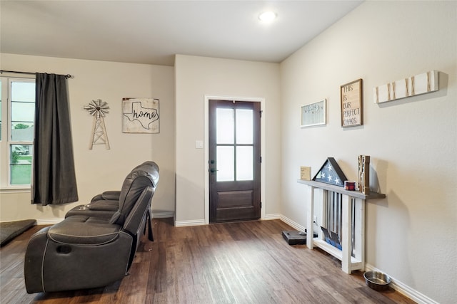 foyer entrance with wood-type flooring