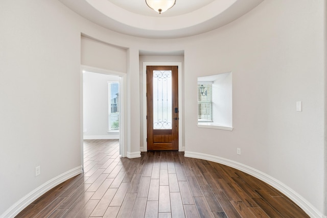 foyer entrance featuring dark hardwood / wood-style flooring and a wealth of natural light