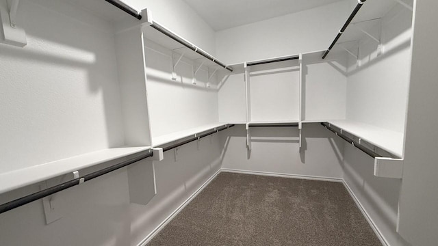 spacious closet featuring dark carpet