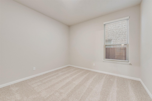 empty room featuring carpet