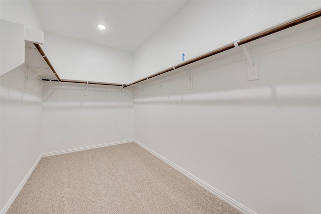 spacious closet featuring carpet