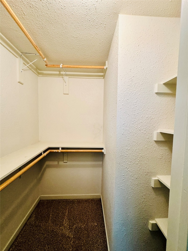 walk in closet with dark colored carpet