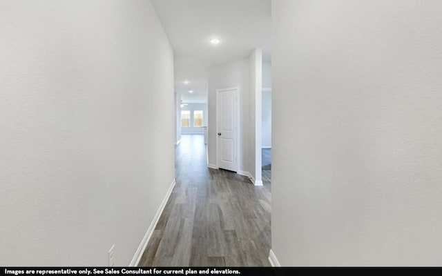 hallway with dark wood-type flooring