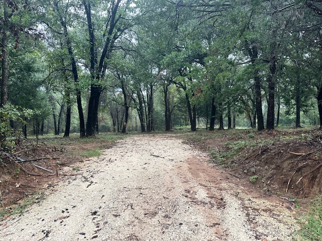 1212 Hcr 1425, Covington TX, 76636 land for sale