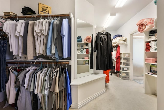 spacious closet featuring carpet flooring