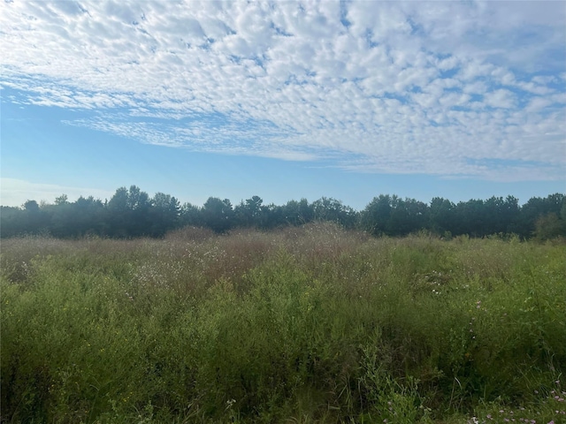 TBD Myrtle Dr, Jacksonville, TX 75766