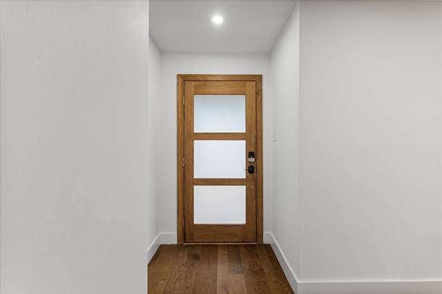 entryway featuring wood-type flooring