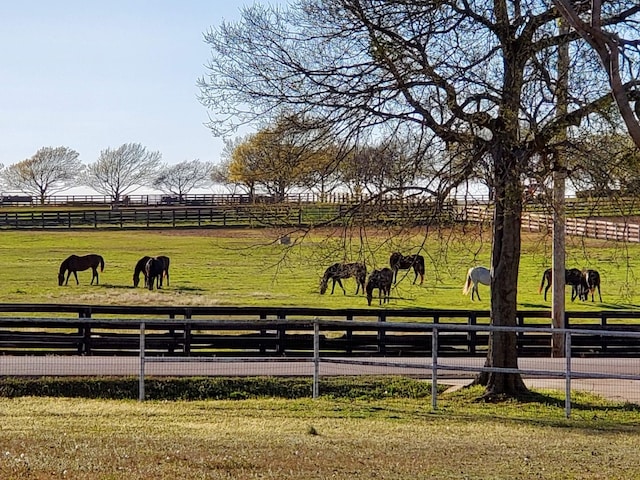 surrounding community featuring a rural view