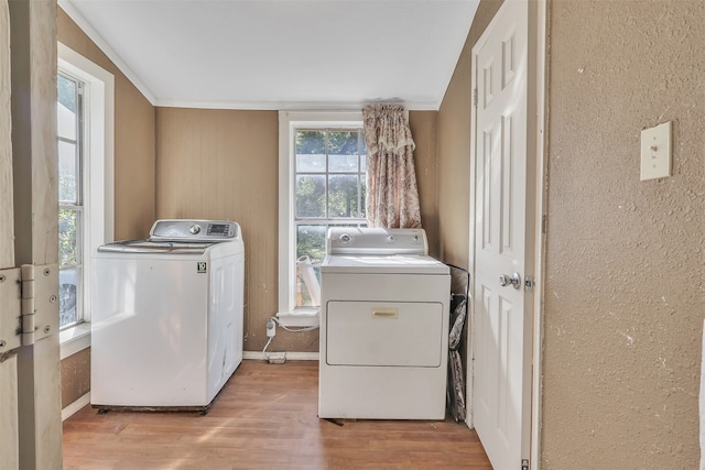 clothes washing area featuring ornamental molding, light wood-type flooring, and separate washer and dryer