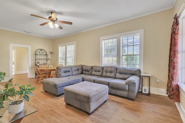 living room with light hardwood / wood-style flooring, ceiling fan, and crown molding