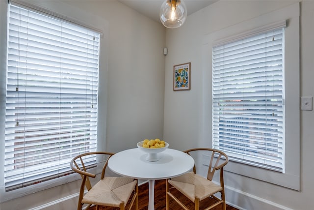 dining room featuring wood-type flooring