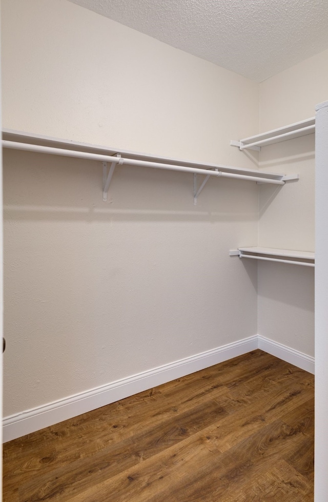 spacious closet with dark hardwood / wood-style floors