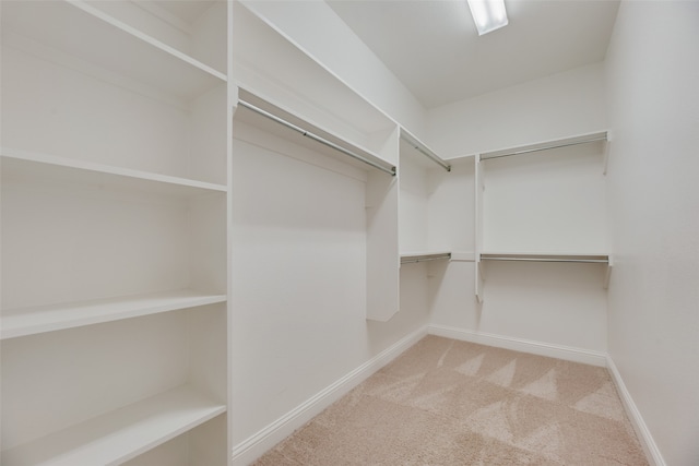 spacious closet featuring light carpet