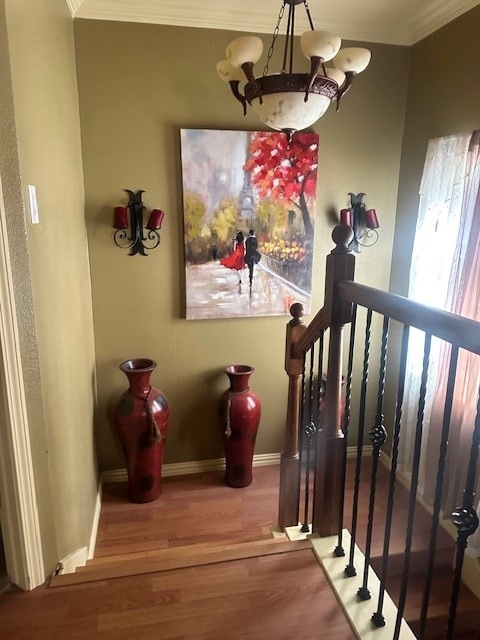 stairs with crown molding and hardwood / wood-style floors