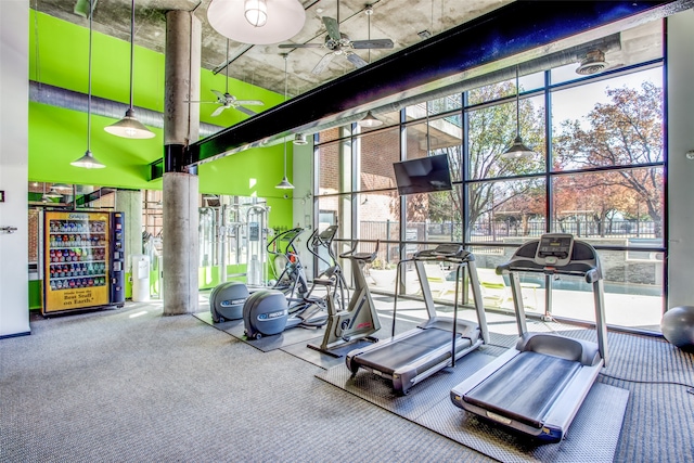 gym featuring carpet flooring, ceiling fan, and a wealth of natural light