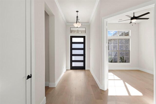 entryway with ornamental molding, ceiling fan, and light wood-type flooring