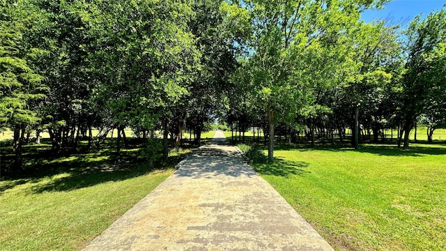 view of property's community with a lawn