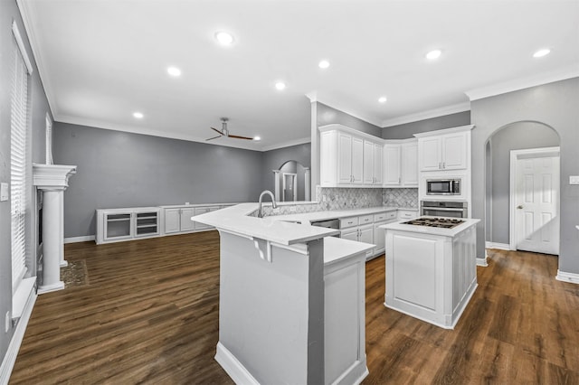 kitchen with white cabinetry, kitchen peninsula, appliances with stainless steel finishes, ornamental molding, and ceiling fan