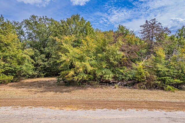72 Sombrilla Ln, Kerens, TX 75144