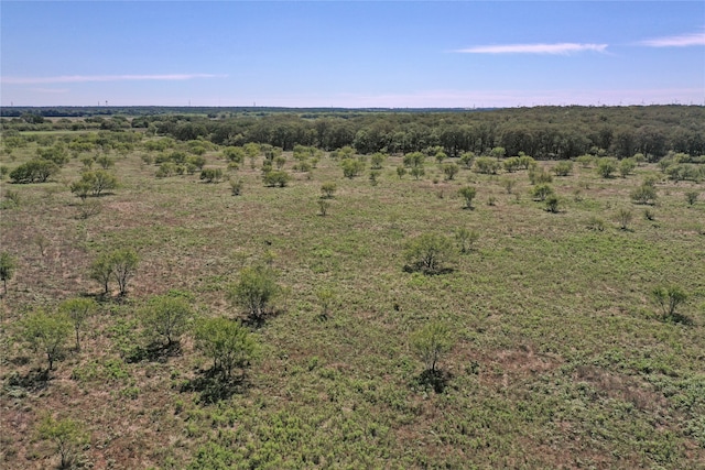 TBD Hammon Ln, Jacksboro TX, 76458 land for sale