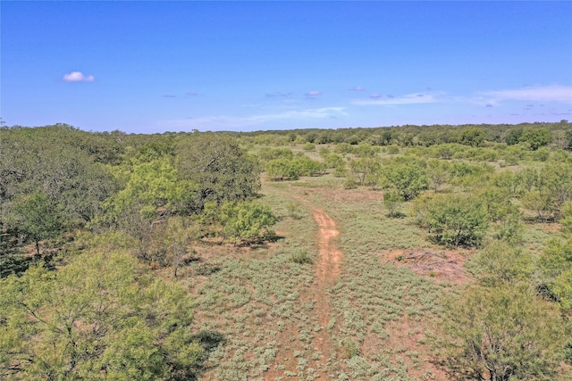 Listing photo 2 for TBD Hammon Ln, Jacksboro TX 76458