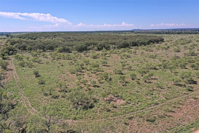 Listing photo 3 for TBD Hammon Ln, Jacksboro TX 76458