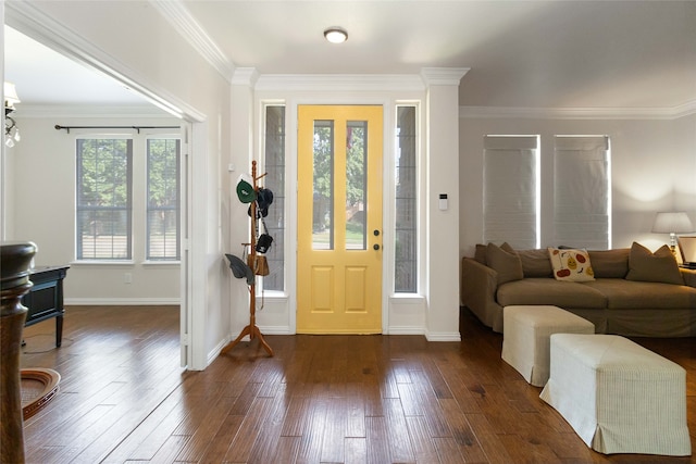 foyer entrance featuring crown molding and dark wood-type flooring