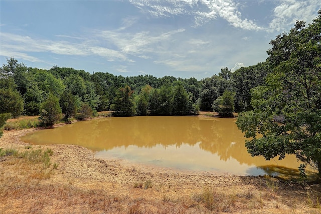 view of water feature