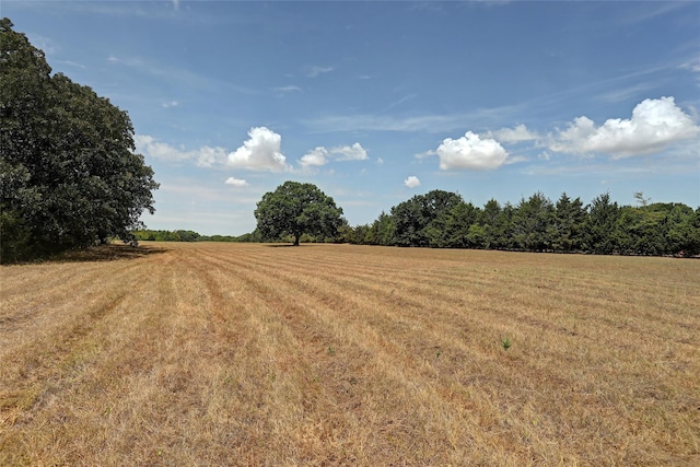 view of local wilderness with a rural view