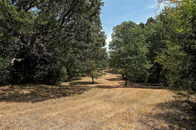 view of local wilderness