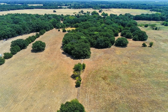 bird's eye view with a rural view