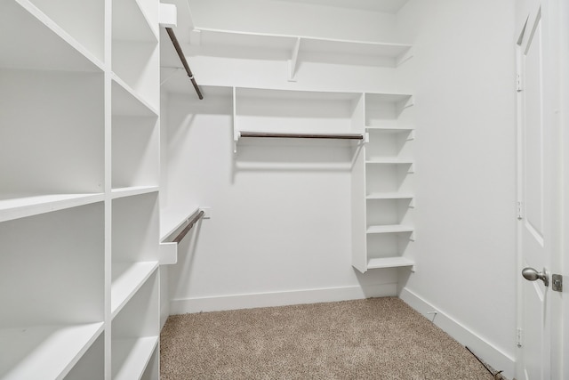 walk in closet with carpet