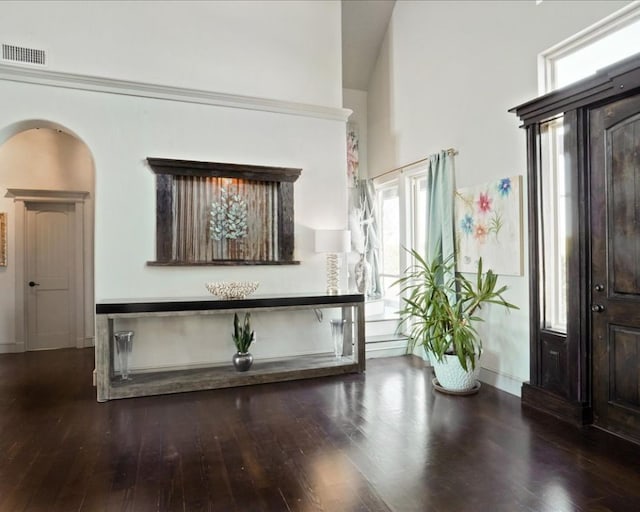 entryway featuring high vaulted ceiling and hardwood / wood-style flooring