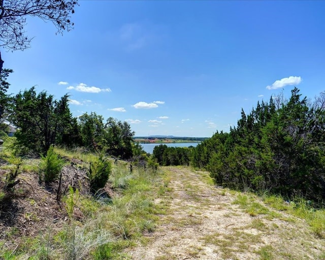 view of landscape with a water view