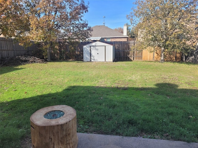 view of yard featuring a storage unit